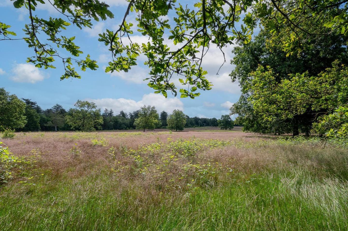 Landhuisje 31 'De Akkersteen' Bospark Ijsselheide Zwolle Hattemerbroek Bagian luar foto