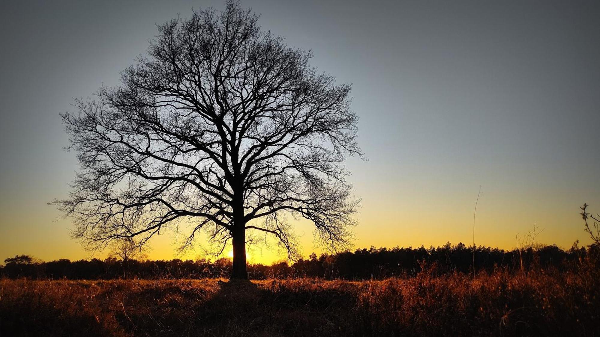 Landhuisje 31 'De Akkersteen' Bospark Ijsselheide Zwolle Hattemerbroek Bagian luar foto